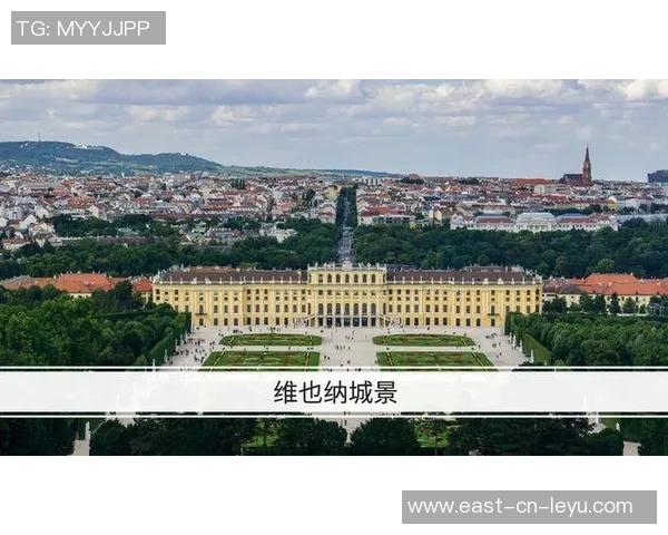 奥地利维也纳足球的辉煌历史与未来发展展望